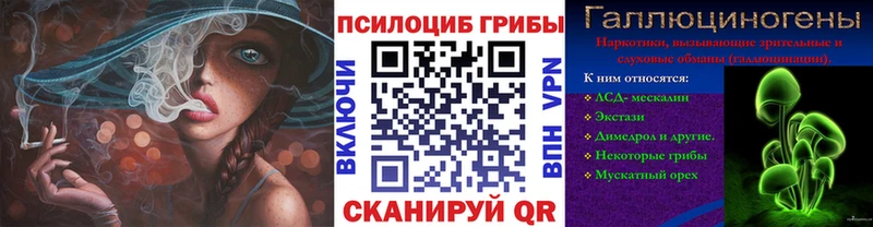 что такое наркотик  Олонец  Галлюциногенные грибы мицелий 